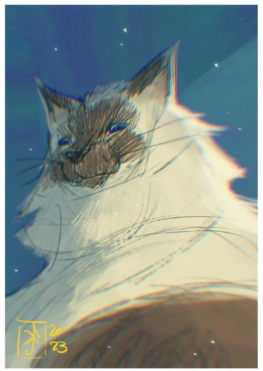 Illustration 3 Illustration 3